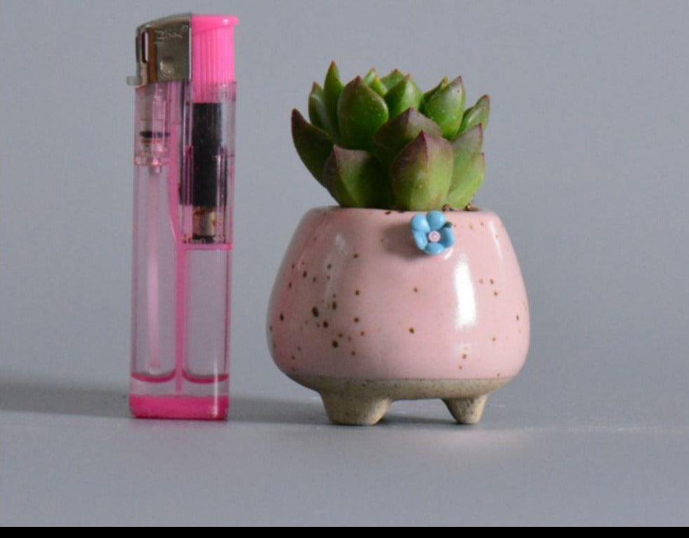 Mini Succulent Planters