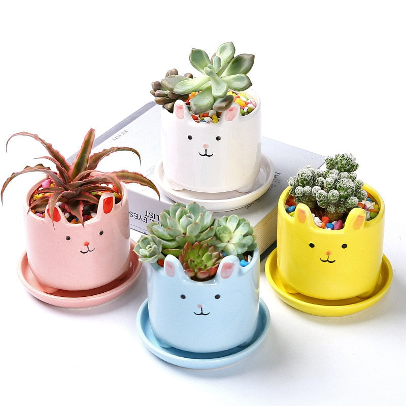 cute flower pots for succulents Creative Plant Pot Desktop Potted Desk Decorate Small Ornament
