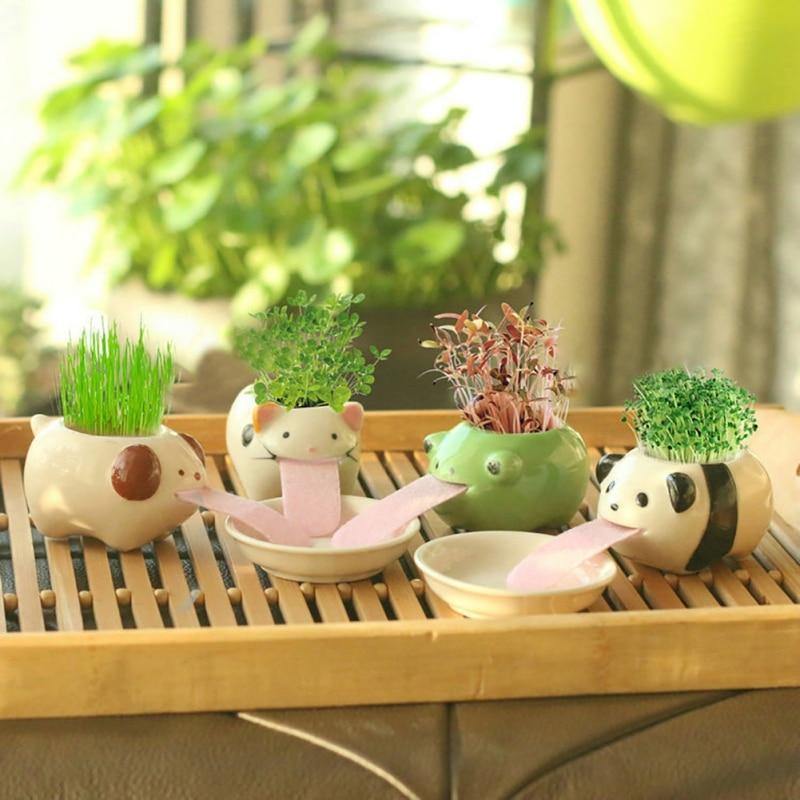 animal plant pots indoor Drinking animal planters