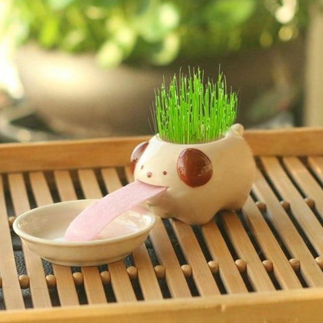 self watering panda planter Drinking animal planters
