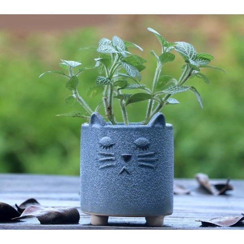 animal succulent planter Cement animal succulent planter