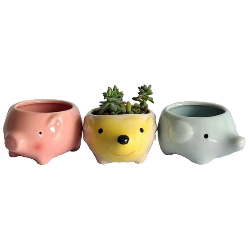 succulent animal pots Succulent animal Planters