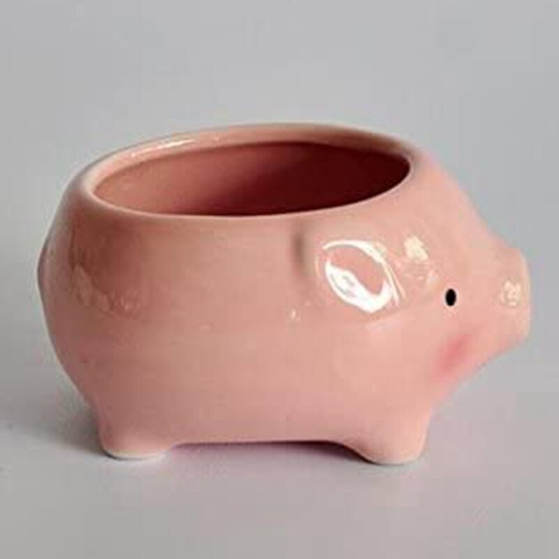 succulent piggy bank Succulent animal Planters
