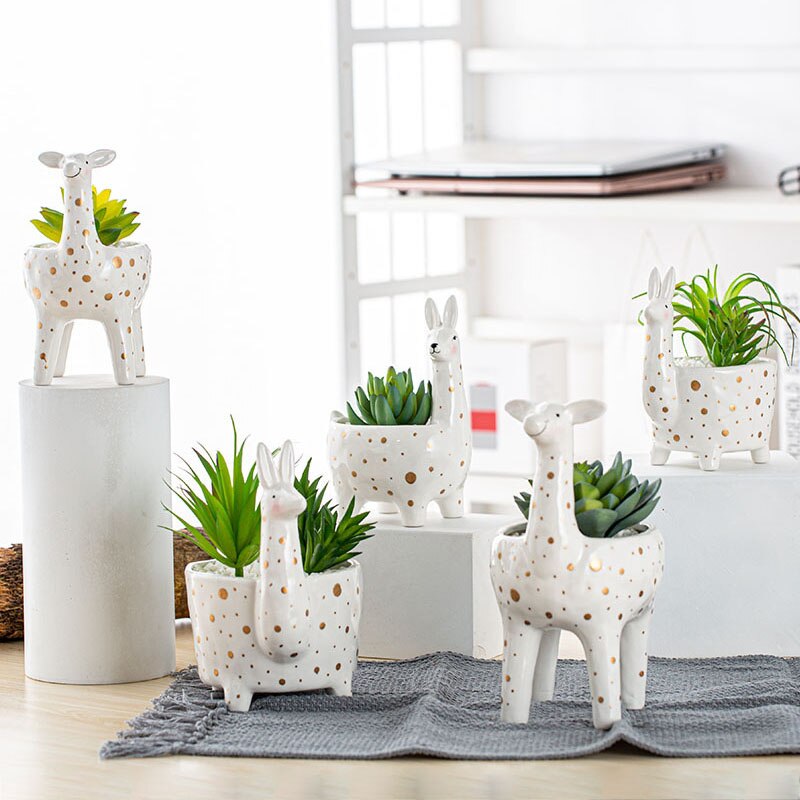 ceramic planters for succulents Ceramic planters | Succulent planters