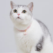 cute cat collar with bell
