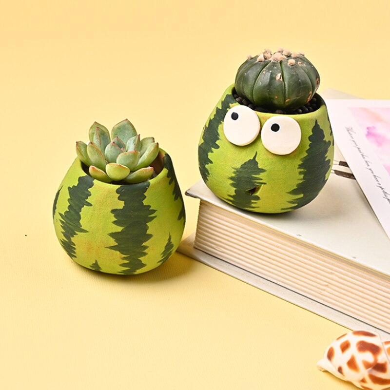 watermelon plant in pot Cute Watermelon Plant Pots set | Mini Succulent Flower Pot with drainage hole