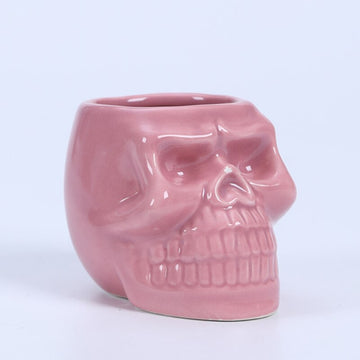 skull shape ceramic succulent flower pot