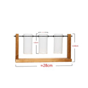 succulent propagation station