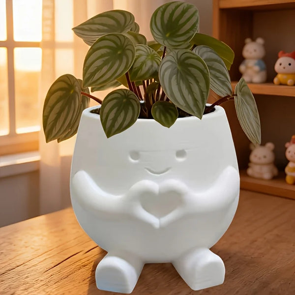 2PCS Lucky Plant Pots, Cute 3D Printed Succulent Planters for Indoor Plants, Aesthetic Flower Pots for Succulents