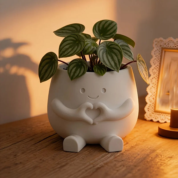 2PCS Lucky Plant Pots, Cute 3D Printed Succulent Planters for Indoor Plants, Aesthetic Flower Pots for Succulents