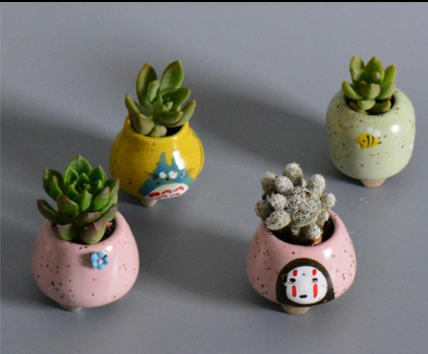 5 pcs set of mini succulent planters