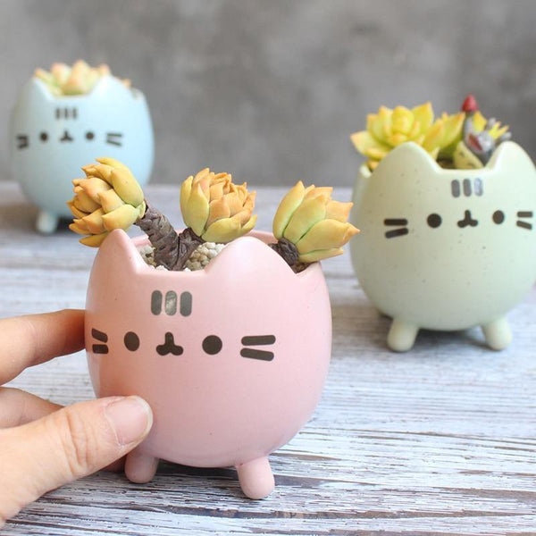 succulent animal planters