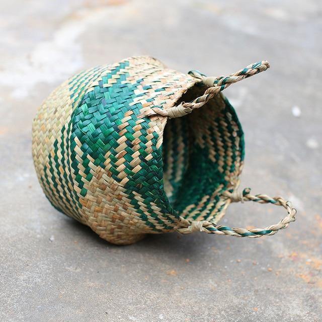 seagrass plant baskets green