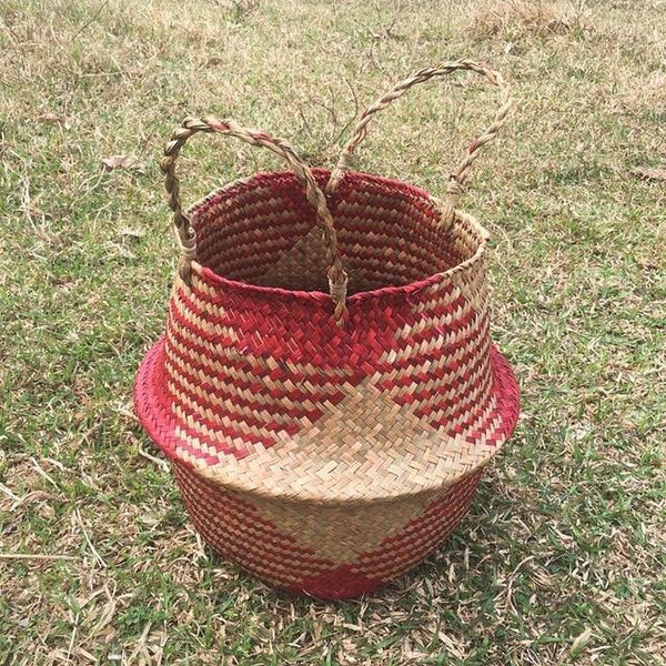 seagrass plant baskets red