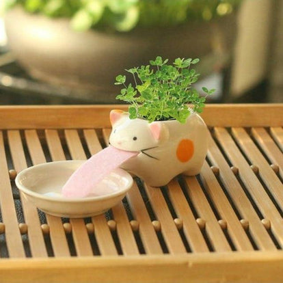 small animal plant pots Drinking animal planters
