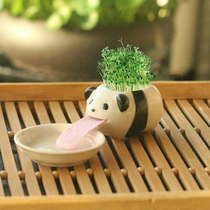 self watering dog planter Drinking animal planters