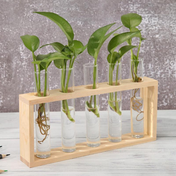 propagation station with 5 tubes