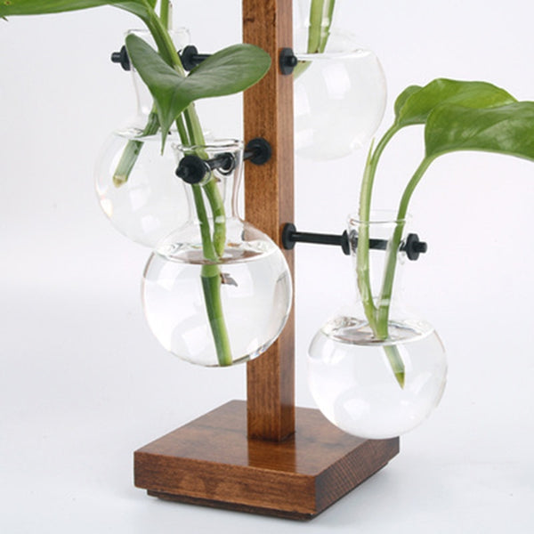 4 bulbs propagation station