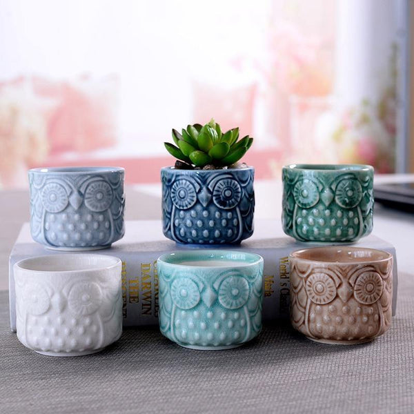 owl succulents pots