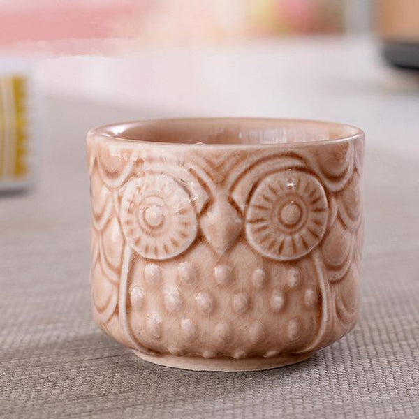 owl succulents pots orange