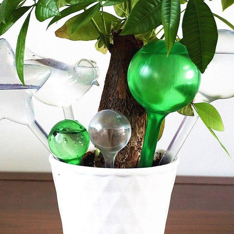 indoor plant watering devise