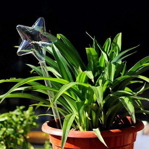 indoor plant watering devise five-pointed star