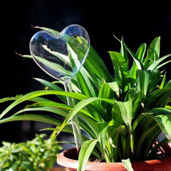 indoor plant watering devise love