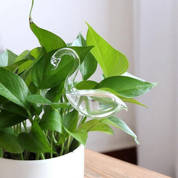 indoor plant watering devise swan