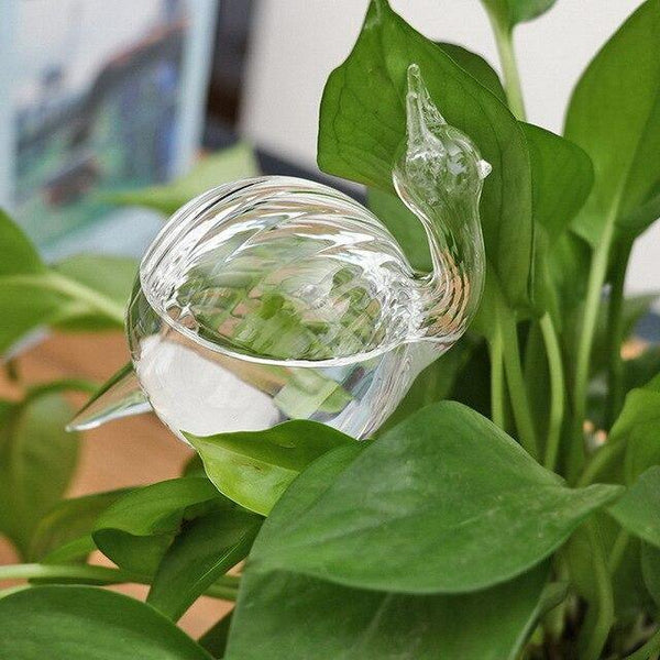 indoor plant watering devise snail