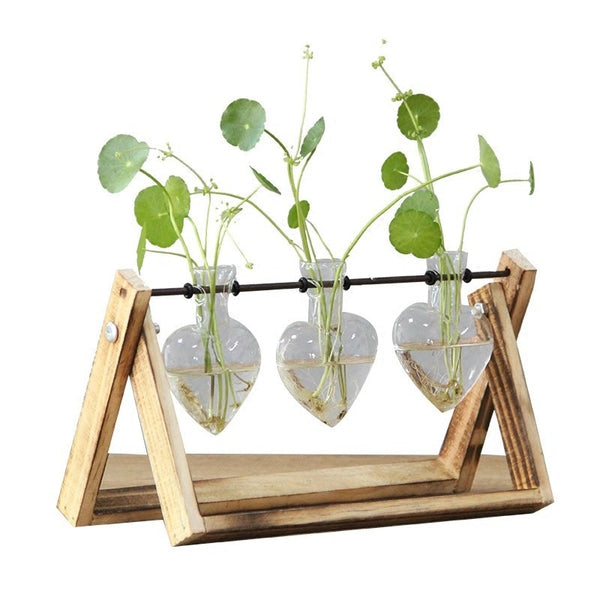 heart shaped plant propagation station