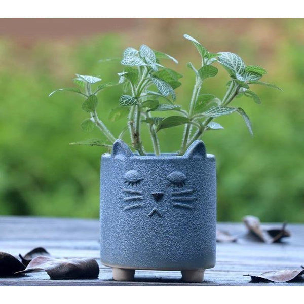 cement animal succulent planter