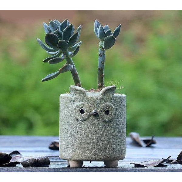 cement animal succulent planter owl green