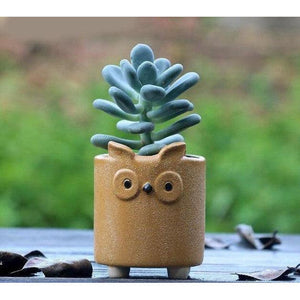 cement animal succulent planter owl yellow