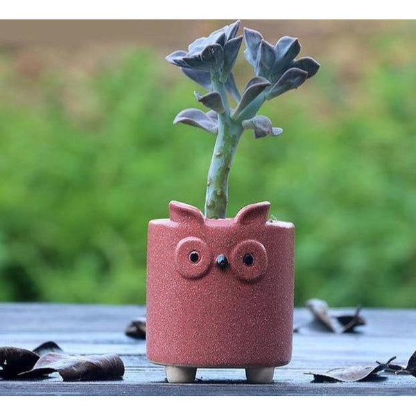 cement animal succulent planter owl red