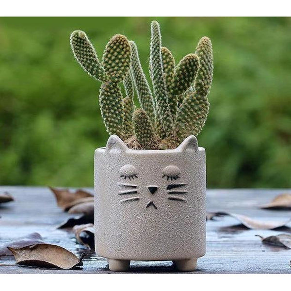 cement animal succulent planter cat whitte