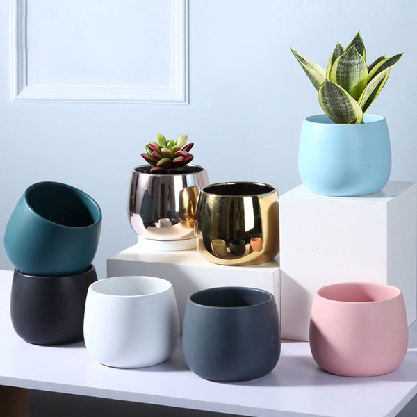 ceramic plant pots