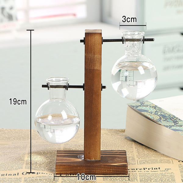 terrarium hydroponics propagation station