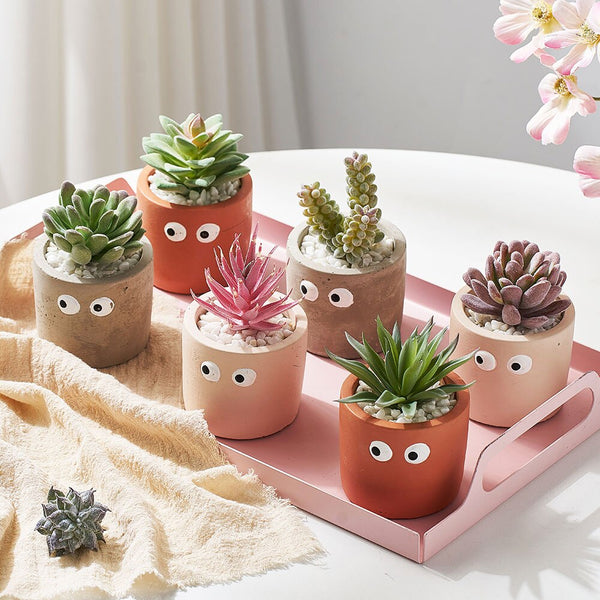 cement flower pot with artificial succulents