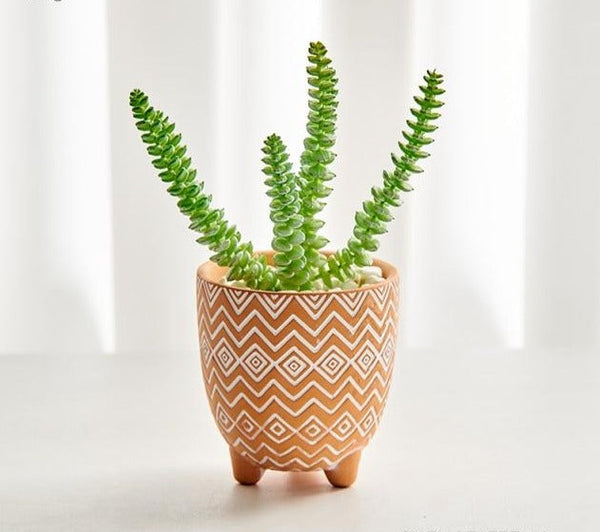 boho terracotta plant pots set 1