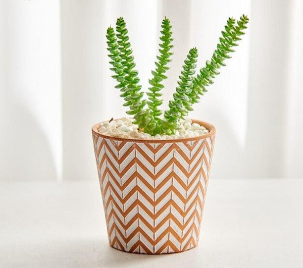 boho terracotta plant pots set 2