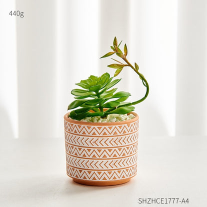 Terracotta pots |Small terracotta plant pots | Buy from Planter&Co