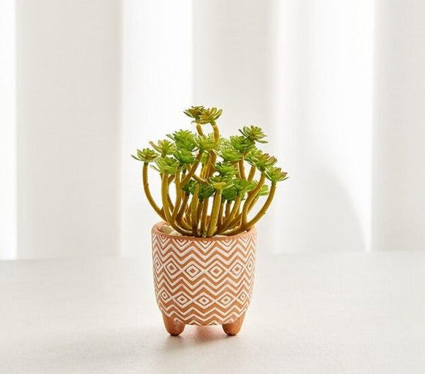 boho terracotta plant pots set 5