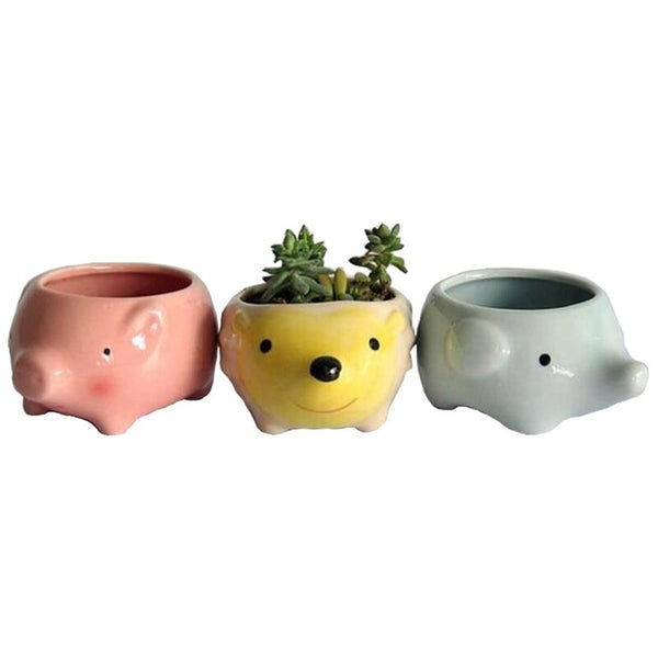 succulent animal planters