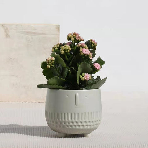 abstract human face flower pot