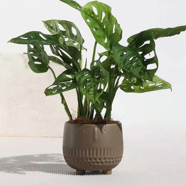 abstract human face flower pot
