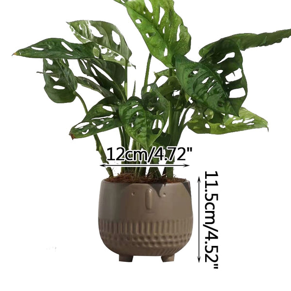 abstract human face flower pot