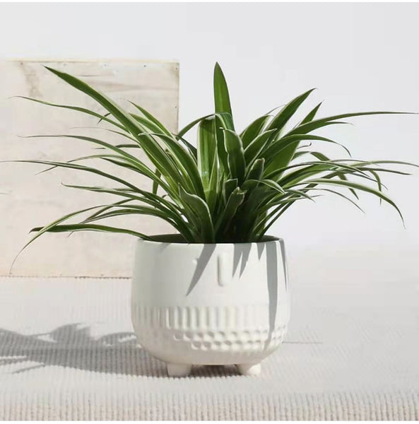 abstract human face flower pot