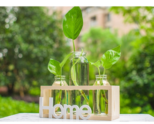 succulent propagation station type2 with 3 vases