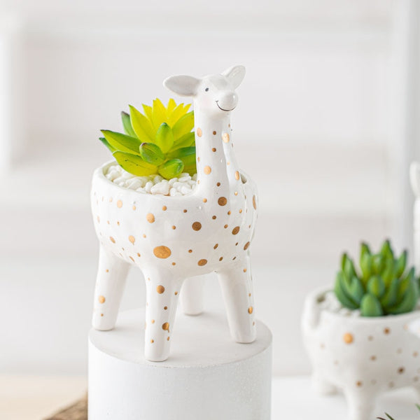 creative ceramic planter