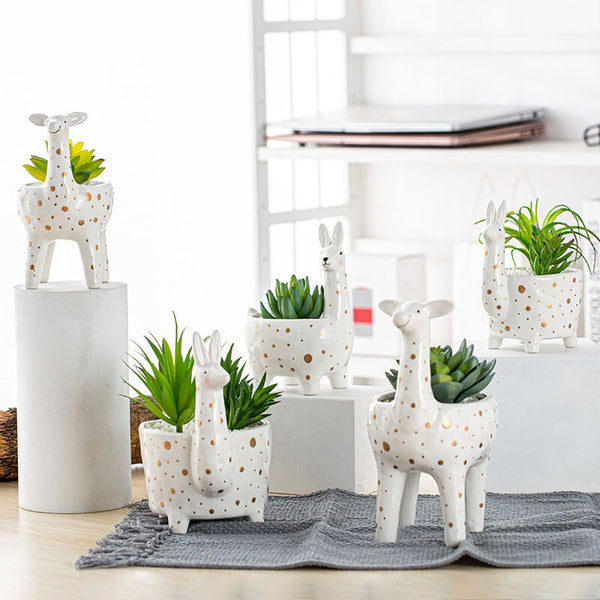 creative ceramic planter